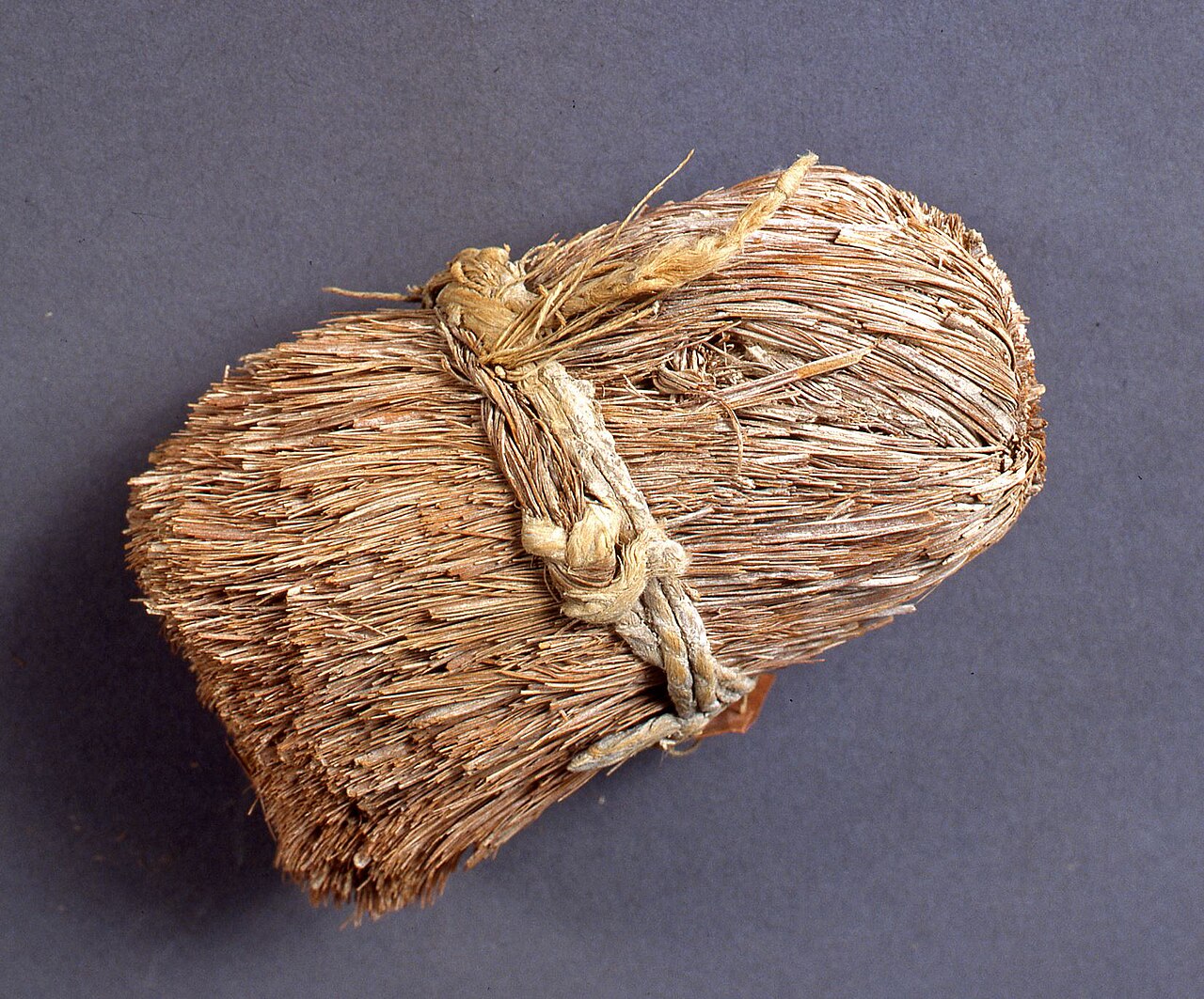 Brush