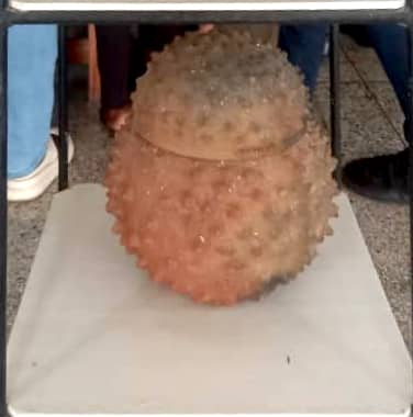 Ceramic